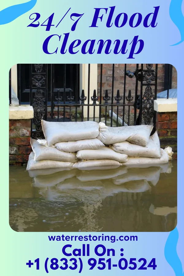 24/7 Flood Cleanup in North Buena Vista, IA